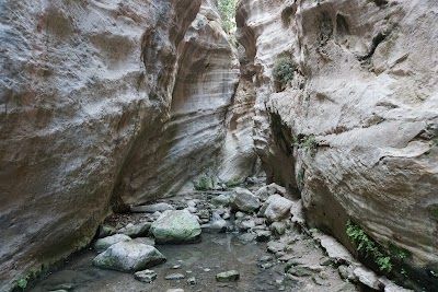 Avakas Gorge Nature Trail