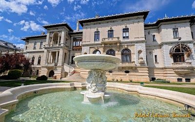 "Cotroceni" National Museum