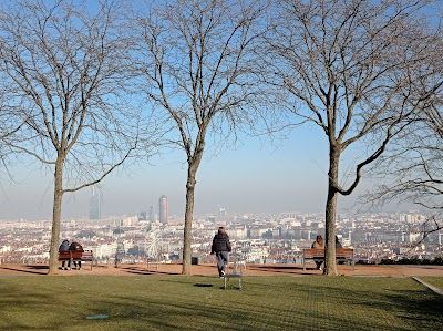 Jardin des Curiosités