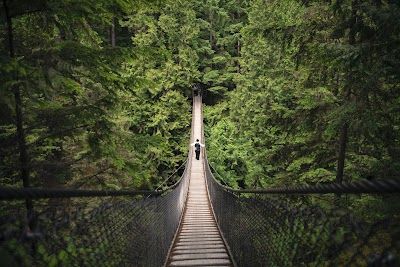 Lynn Canyon Suspension Bridge