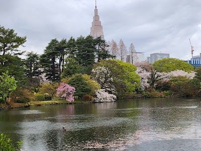 Shinjuku Gyoen National Garden