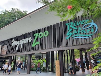 Singapore Zoo