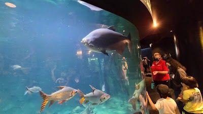Vancouver Aquarium