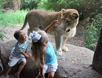 Alexandria Zoological Park