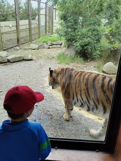 Dublin Zoo