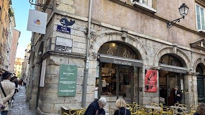 Glacier Terre adélice LYON