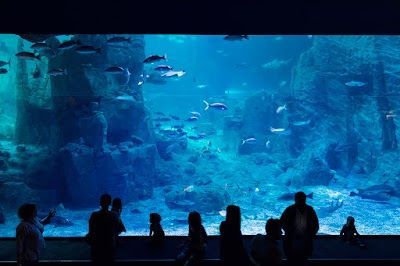 Istanbul Aquarium