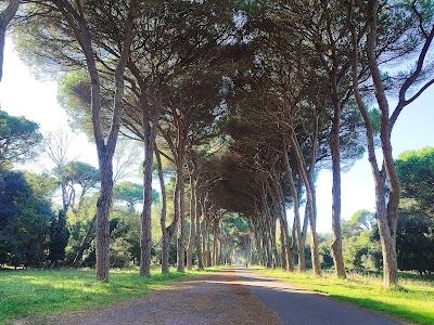 Parco Regionale Migliarino, San Rossore, Massaciuccoli