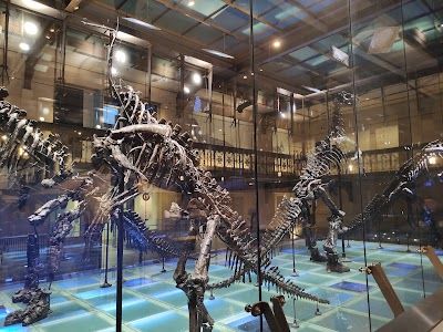 Royal Belgian institute of Natural Sciences