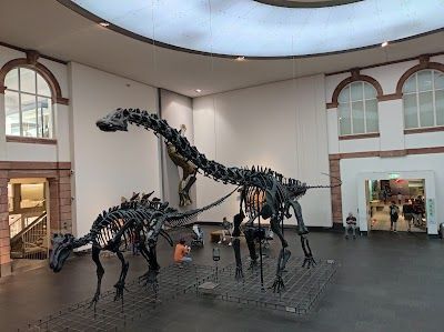 Senckenberg Nature Museum