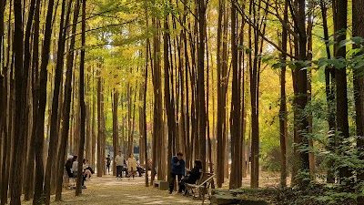 Seoul Forest Park