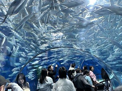 Shanghai Ocean Aquarium