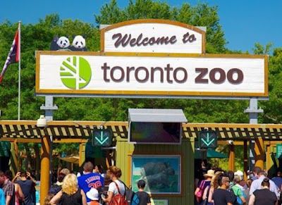 Toronto Zoo