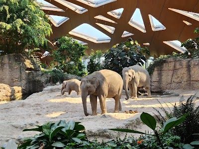 Zoo Zürich