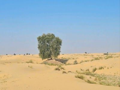 Al Qudra Cycle Track