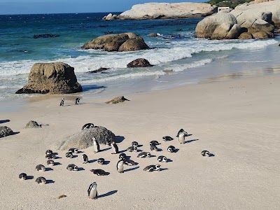 Boulders Beach