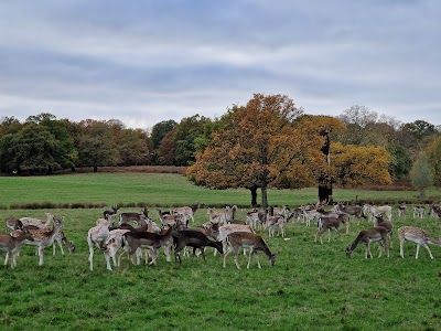 Richmond Park