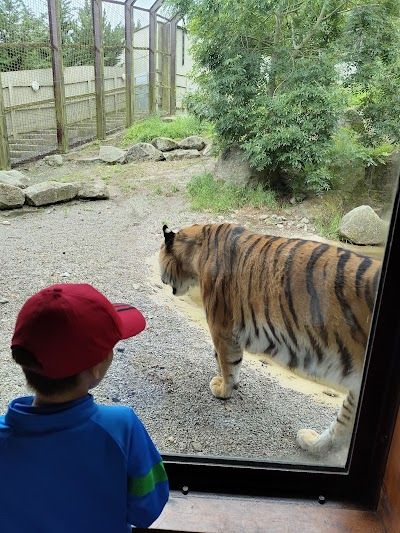 Dublin Zoo