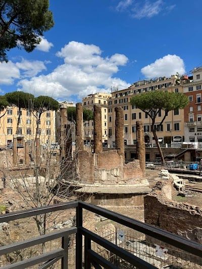 Feral Feline Colonies Torre Argentina