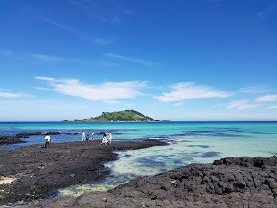Jeju Island 7 Day Itinerary Complete Travel Plan Perfect Itinerary
