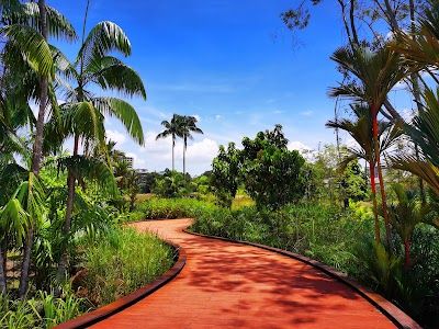 Jurong Lake Gardens