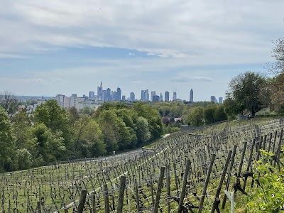 Lohrberg (Frankfurt)