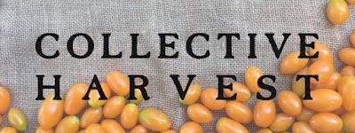 Collective Harvest