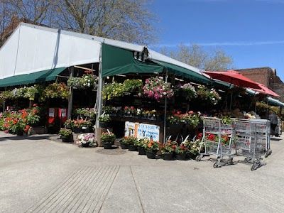 Jean-Brillant Neighbourhood Market