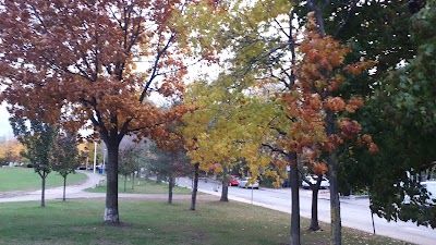 Sorauren Avenue Park