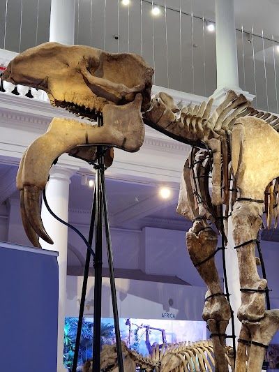 Grigore Antipa National Museum of Natural History