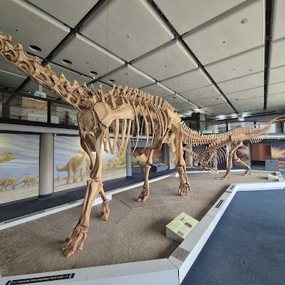 Iziko South African Museum