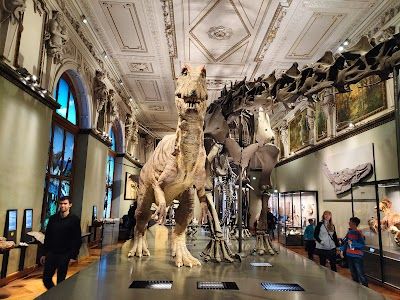 Museum of Natural History Vienna