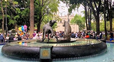Coyoacán