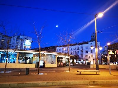 Móricz Zsigmond körtér