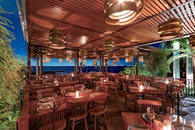 RosaNegra | Latin American Restaurant in Cancun