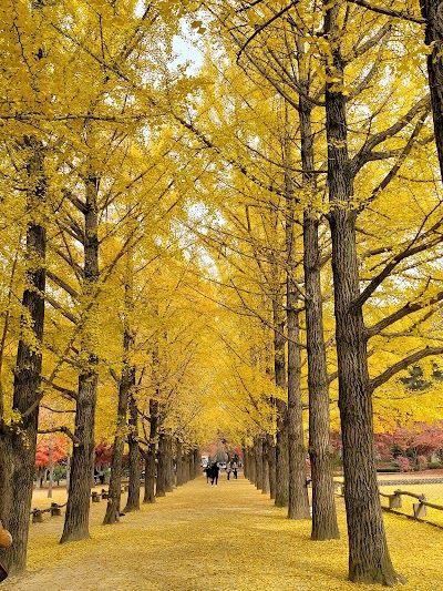 Nami Island
