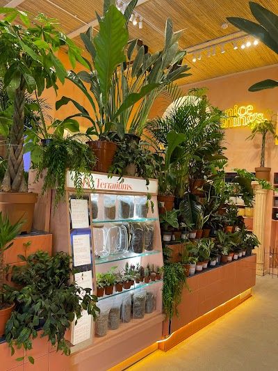 Nice Things Manchester